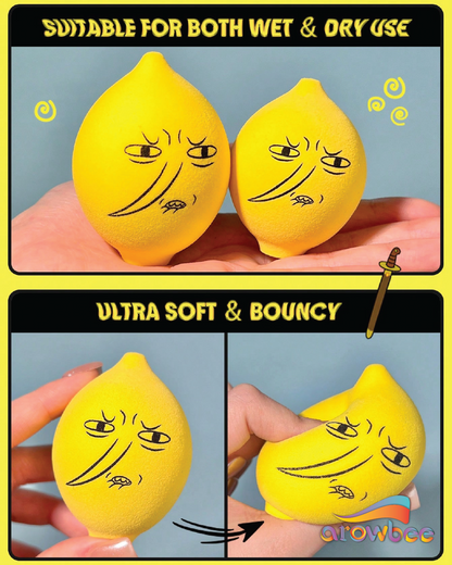 Adventure Time | SHEGLAM Lemongrab Sponge